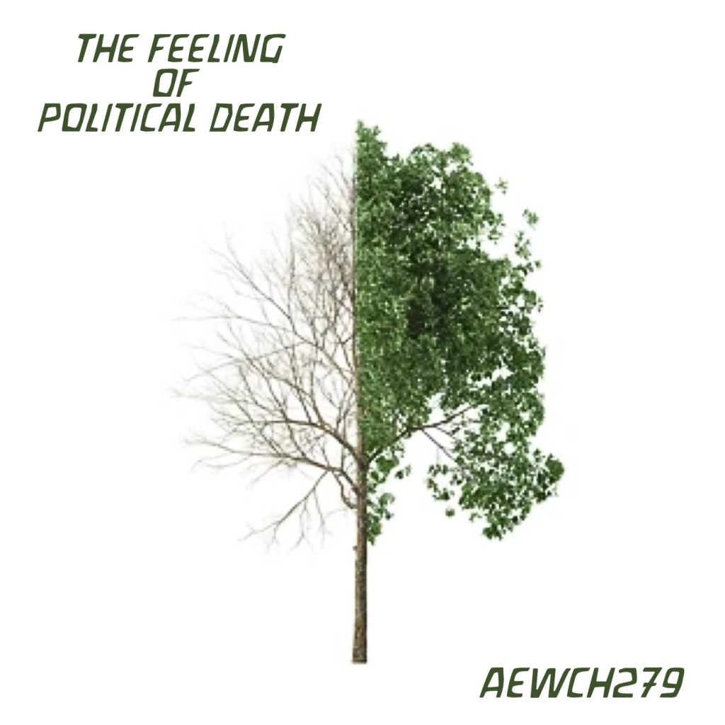 Now what? How to deal with the feeling of political death / Against Everyone with Conner Habib&nbsp;279.
