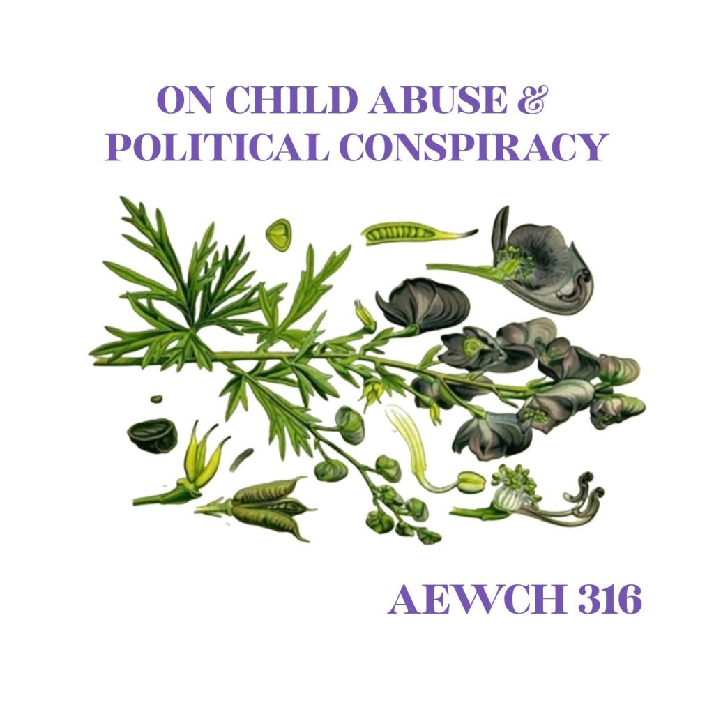 ON CHILD ABUSE, THE EPSTEIN FILES & POLITICAL CONSPIRACY on AEWCH&nbsp;316
